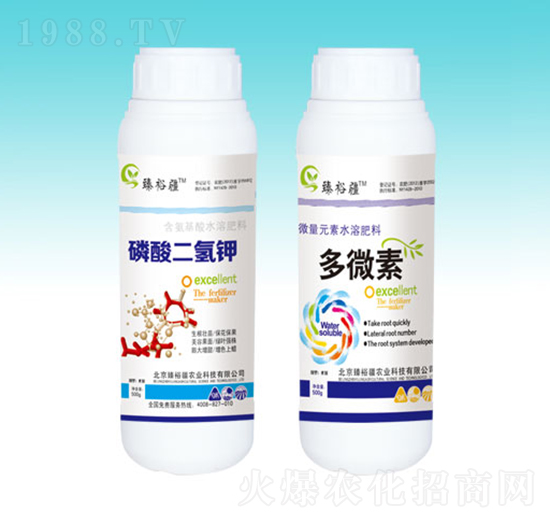 ��������+��΢��-��ԣ��