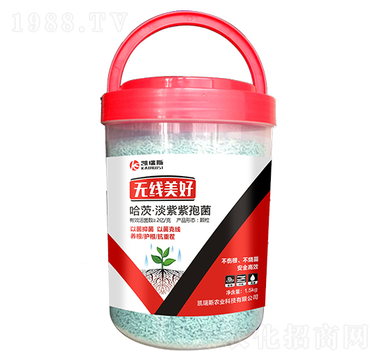 ���ġ��������߾�-�o(w��)������-�P��˹