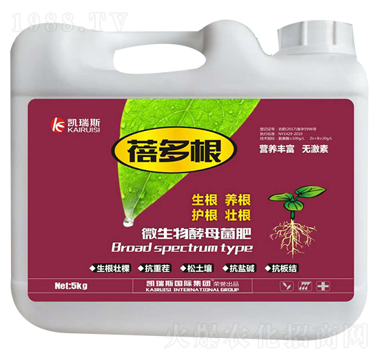 ΢�����ĸ����-�����-�P��˹