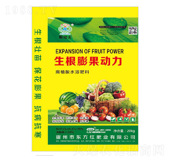 �����������-�|���t