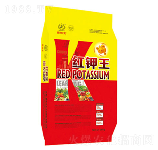 �t���-�|���t