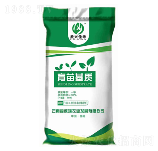 ������|(zh��)-���d�Ѻ�-������