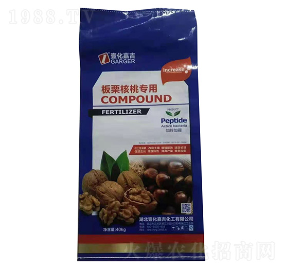 �������Ҍ��ÏͺϷ���-Ҽ���μ�