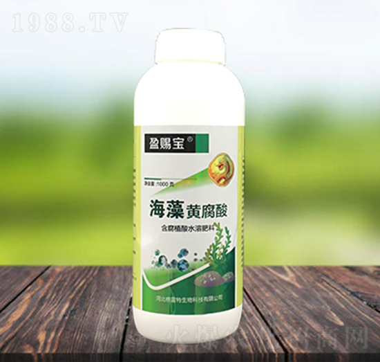 ����ֲ��ˮ�ܷ���-�����S����-ӯ�n��-������