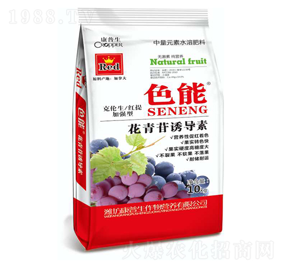 �������T����-ɫ��-������