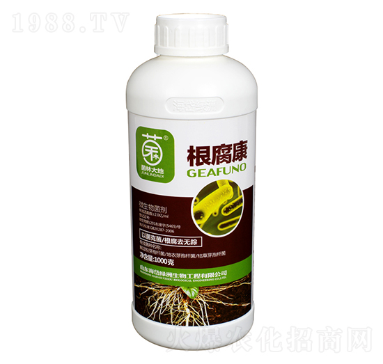 ΢�������-������-��᷾G��