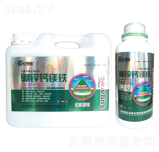 ���\�}�V�F-�|�p�A-����Ԫ��