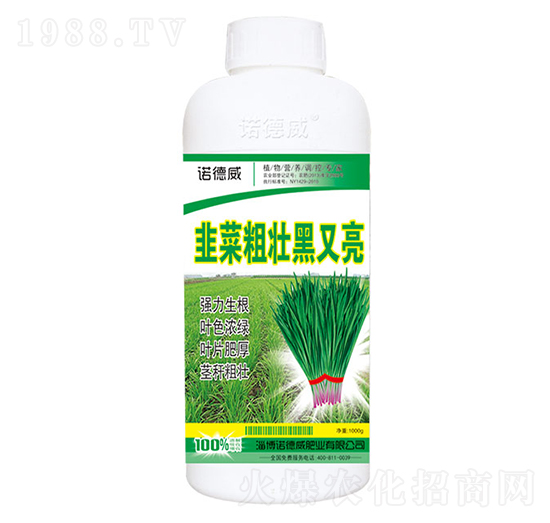 �²˴։Ѻ�����-�Z����