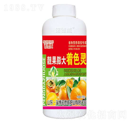 �n�������ɫ�`-�Z����