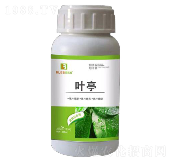 �~ͤ-�٘�(l��)��