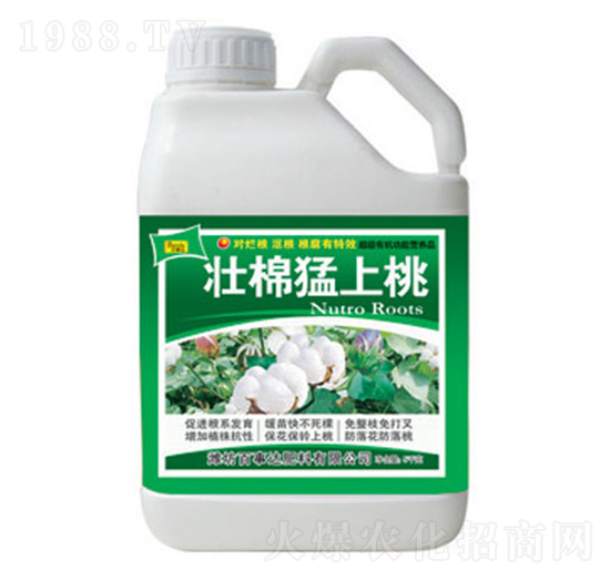 壯棉猛上桃-百事達(dá)