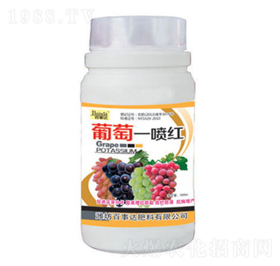 ����һ���t-�����_(d��)