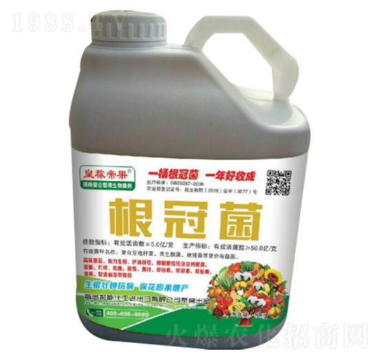 ���ھ�-�ʼڵ۹�-����