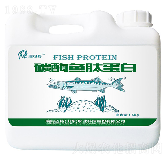 ø���~�ĵ���-��ɵ�-���w�~��