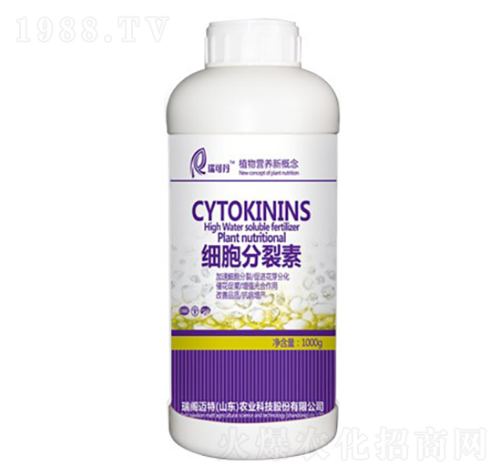 ��(x��)��������-���w�~��