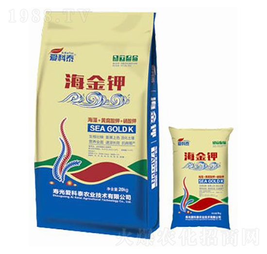 ����⛣��M�ϣ�-��(��i)��̩