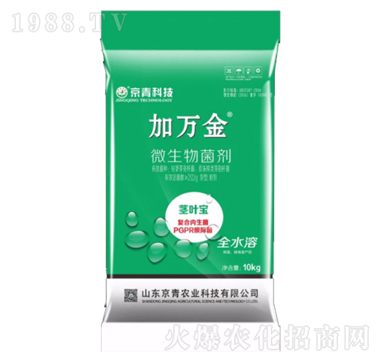 �o�~��΢�������-���f(w��n)��-����Ƽ�