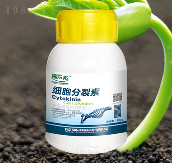 ����������-������