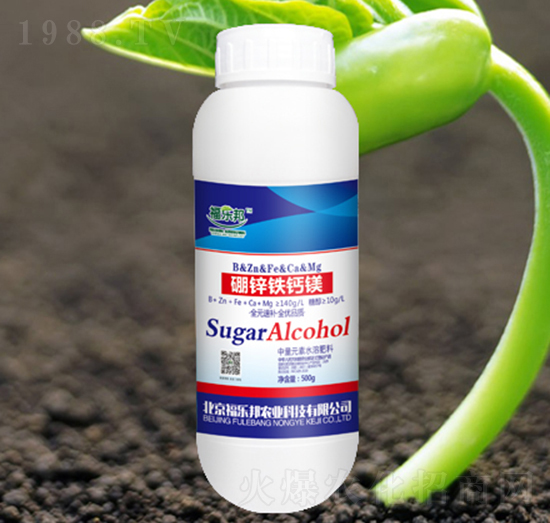 ���\�F�}�V-������