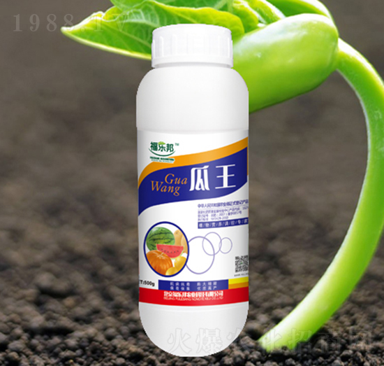 ����-������