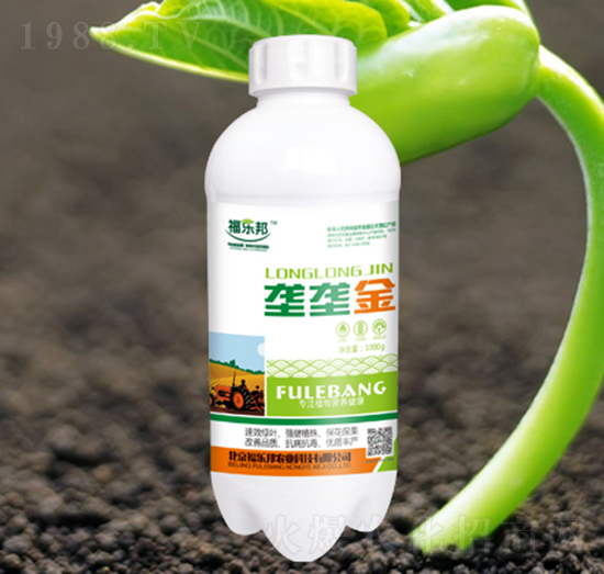 �ŉŽ�-����(l��)��