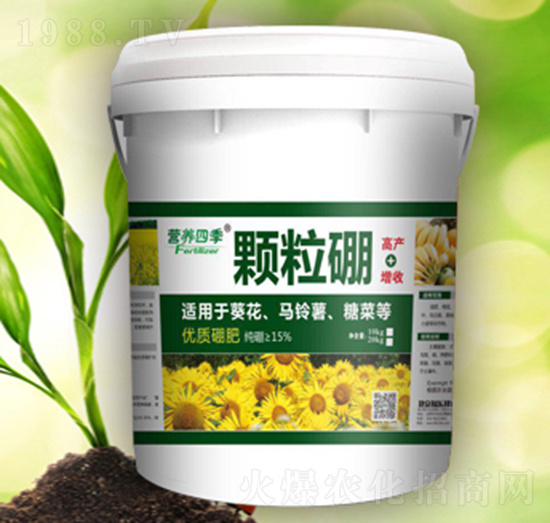 �I(y��ng)�B(y��ng)�ļ��w����-����(l��)��