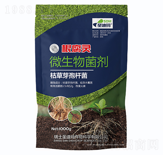 ΢�������-�����`-ʥ�Ϭ�-һ������