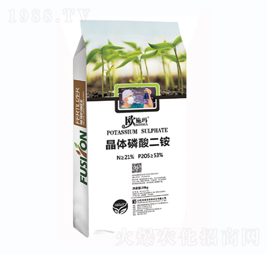 ���w������@-һ������