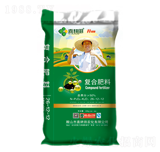 �����͏�(f��)�Ϸ���26-12-12-ϲ����