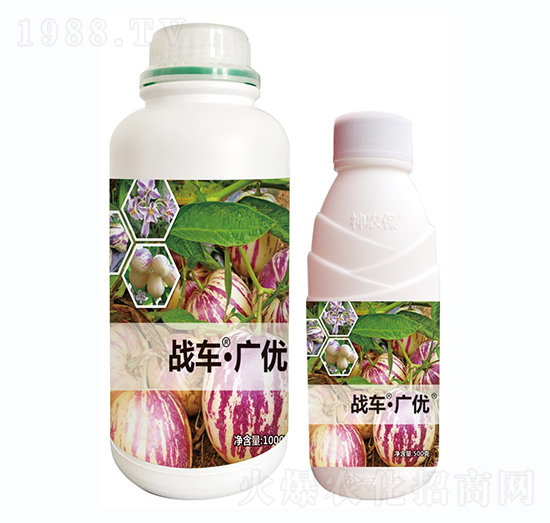 ��(zh��n)܇���V��(y��u)-�˅���-��(zh��n)܇