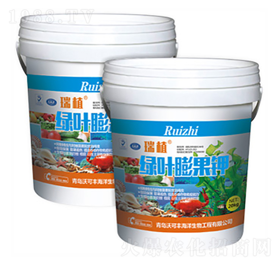 �G�~����-�ֿ��S