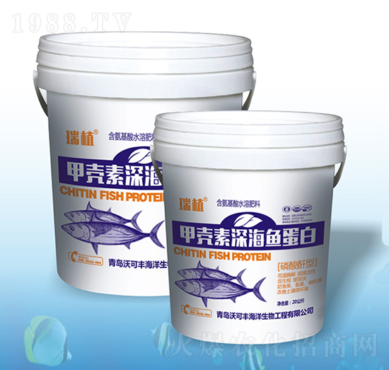 �ך�����~����-�ֿ��S