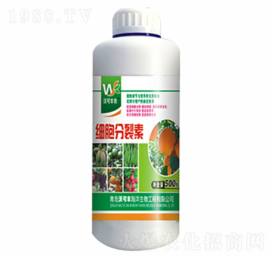 ��(x��)��������-�ֿ��S