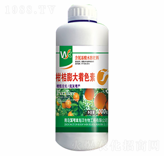 �̽������ɫ��-�ֿ��S