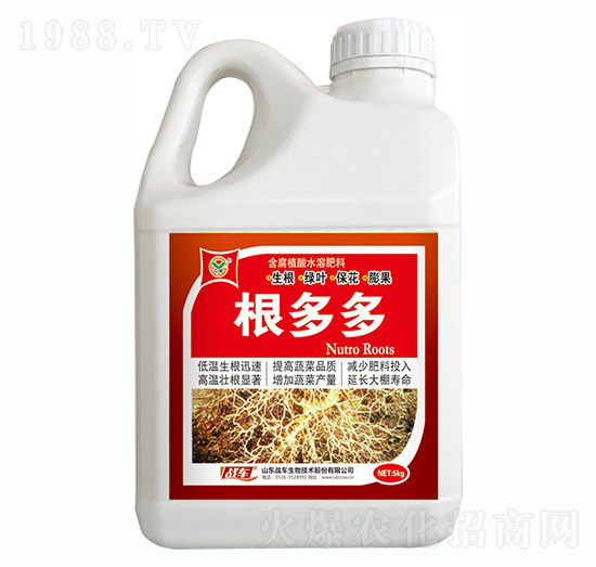 �����-��(zh��n)܇