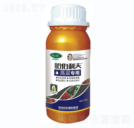 ��������-��������