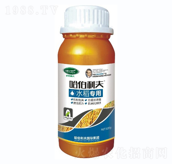 ˮ������-��������