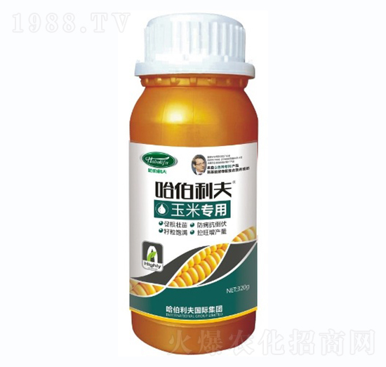 ���׌�(zhu��n)��-��������