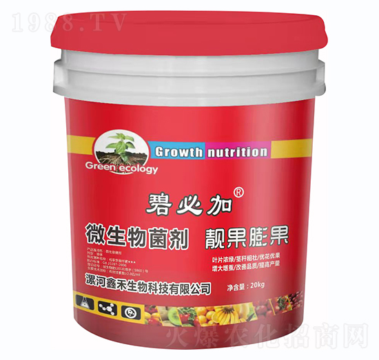 ΢��������n�����-�̱ؼ�-�κ�����