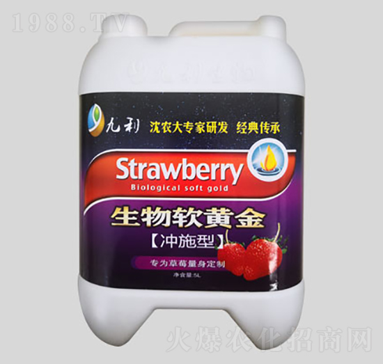 �_ʩ������ܛ�S��-�����ʘI(y��)