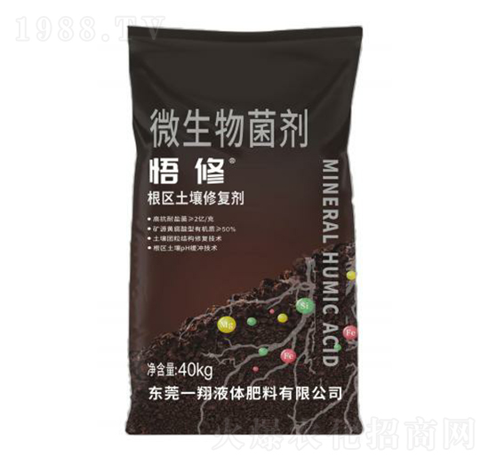 ����΢�������-һ��