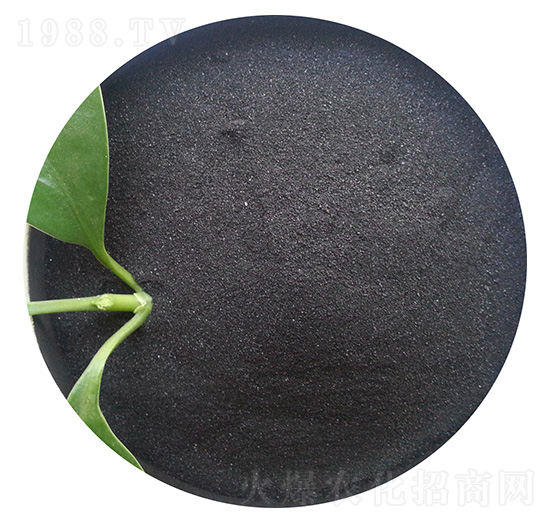 ��ֲ���@-�ֵ��S