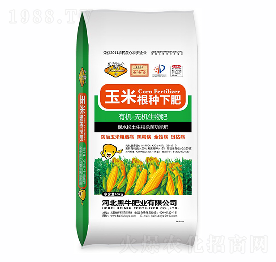 ���׸��N�·�-��ţ�ʘI(y��)