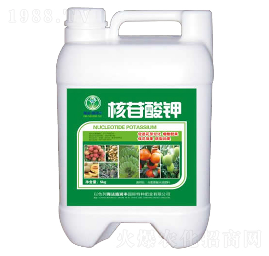 �������-�՝��S