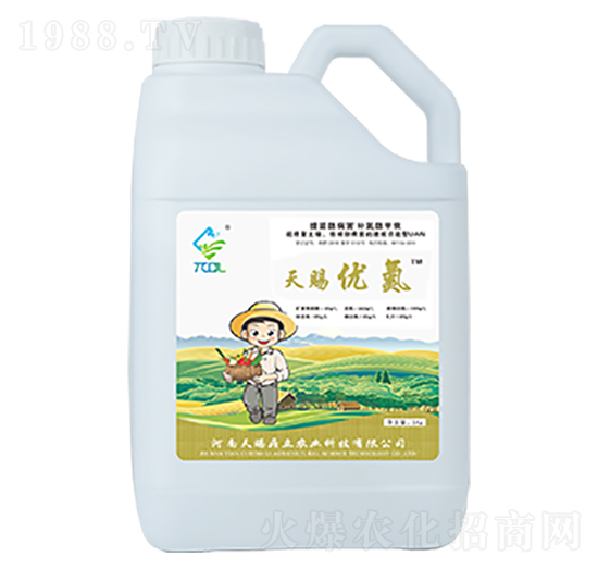 ���n��(y��u)��-���n����