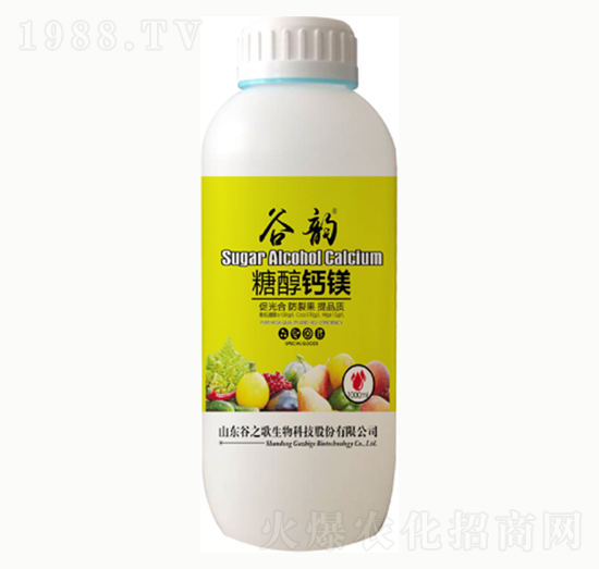 �Ǵ��}�V-���-��֮��