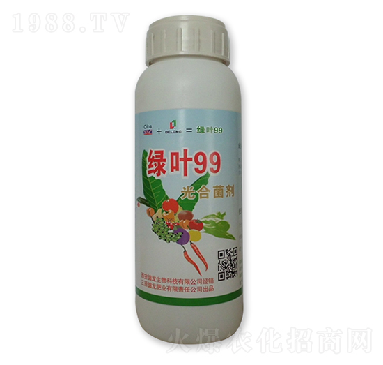 �G�~99��Ͼ���-��������