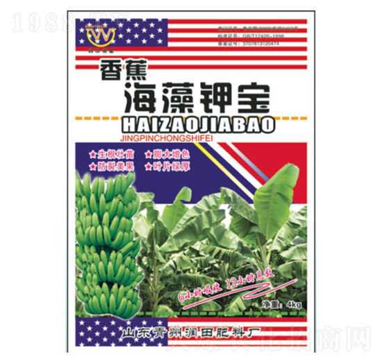 �㽶����⛌�-��(r��n)�����