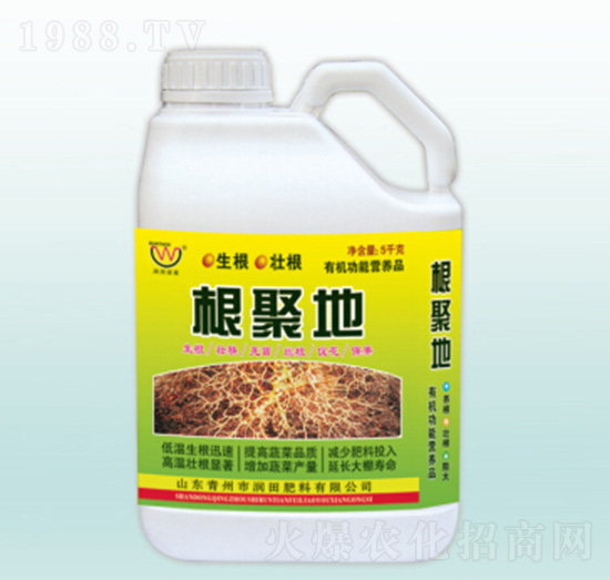 ����(j��)�؛_ʩ��-��(r��n)�����