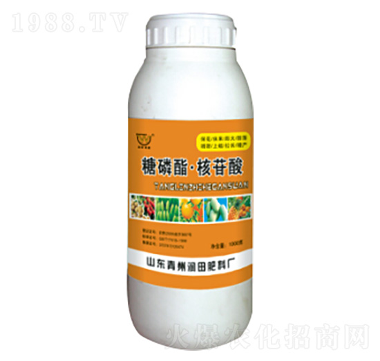 ����֬���������~���-��(r��n)�����